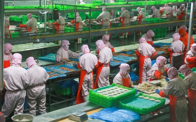 为品质发声，洛阳正大食品举办全省媒体行活动 透明工厂铸就安心美味