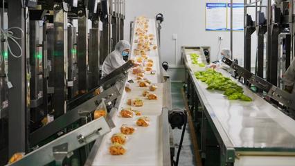 淇县聚力发展“专精特新” 食品产业动能强劲 省级“专精特新”中小企业增至8家