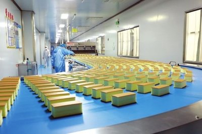 河南麦客多食品食品生产线。